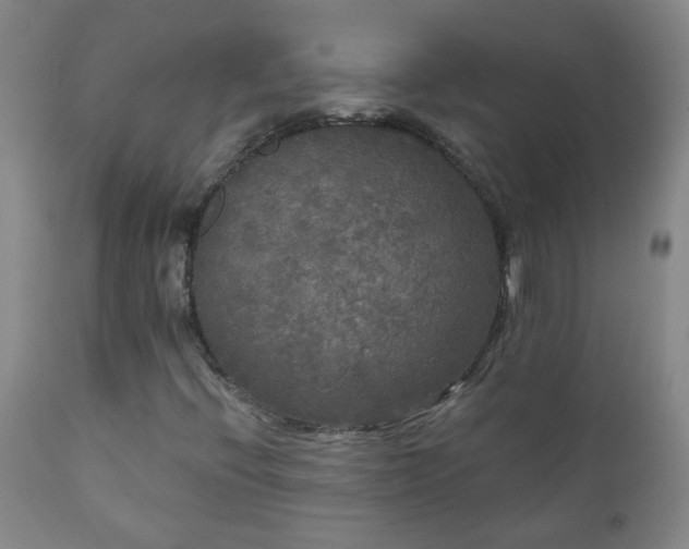 X0000111051396200906251422