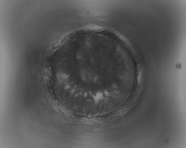 X0000111051397200906251422