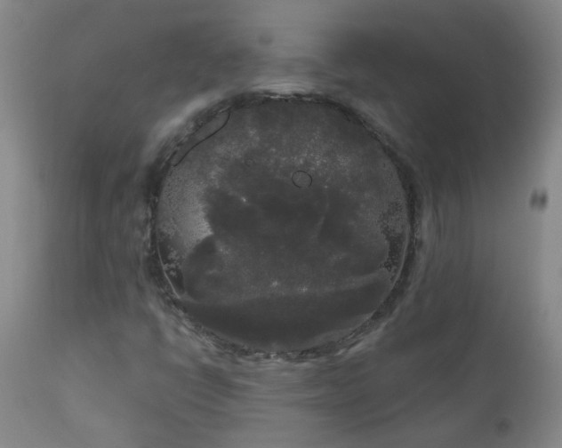 X0000111051398200906251422