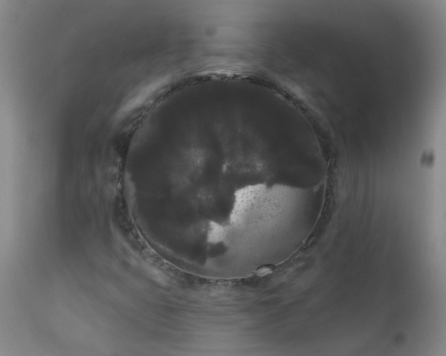 X0000111051399200906251422