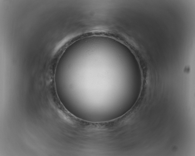 X0000111051400200906251422