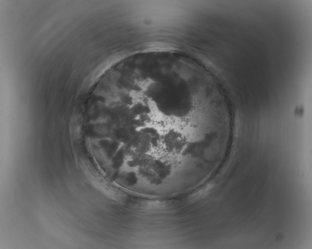 X0000111051401200906251422