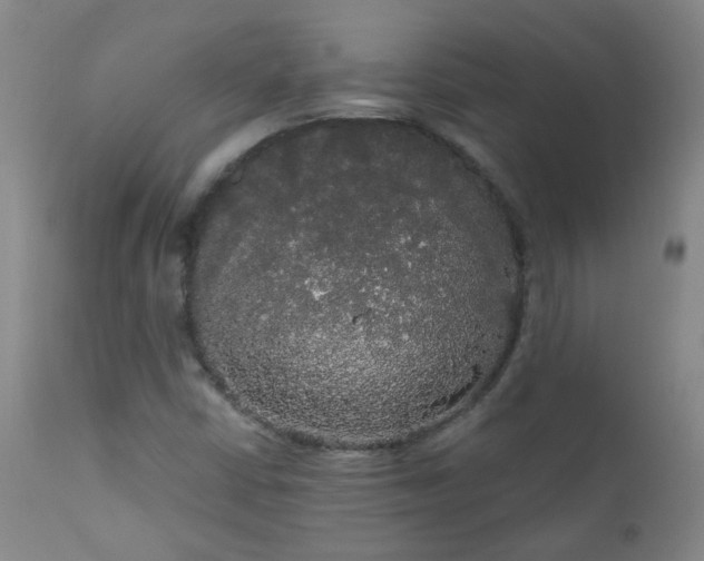 X0000111051402200906251422