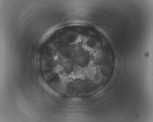 X0000111051403200906251422