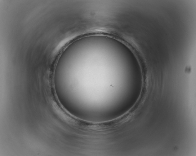 X0000111051404200906251422