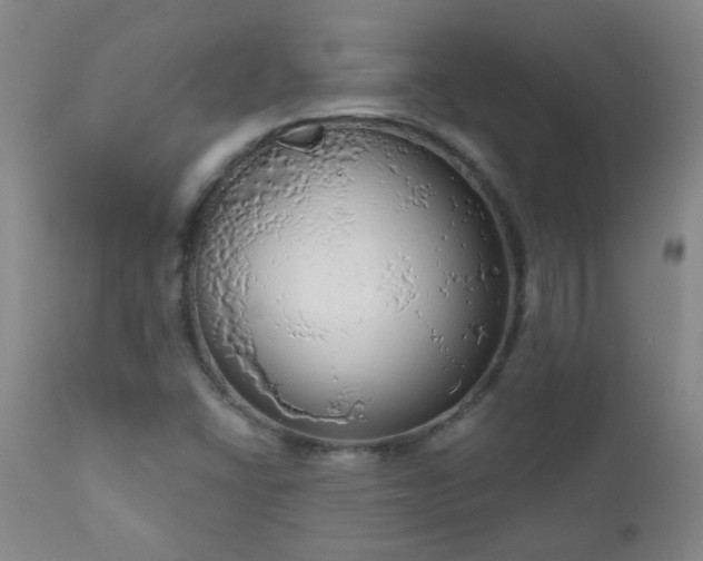X0000111051406200906251422