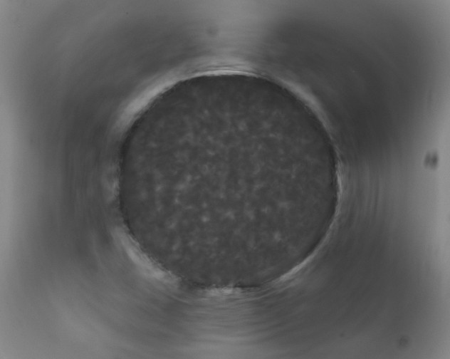 X0000111051407200906251422
