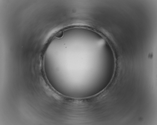 X0000111051408200906251422