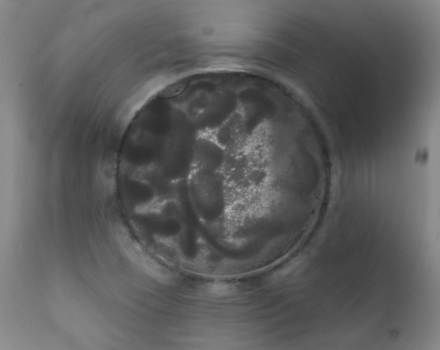 X0000111051409200906251422