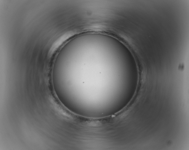 X0000111051410200906251422