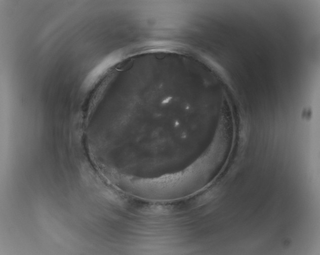 X0000111051411200906251422