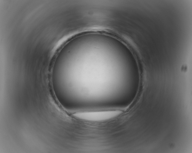 X0000111051412200906251422
