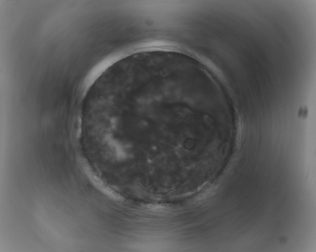 X0000111051413200906251422