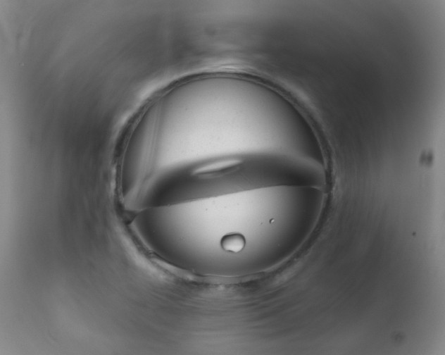 X0000111051414200906251422