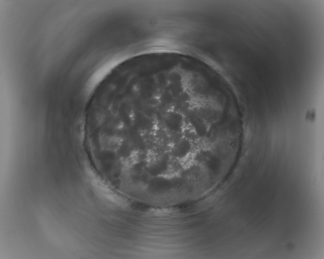 X0000111051415200906251422