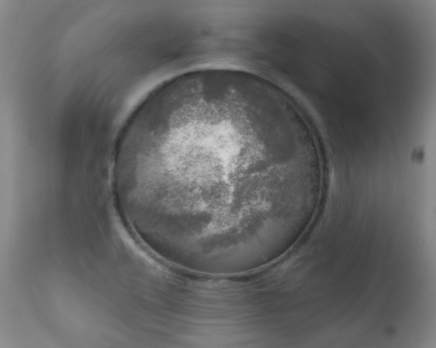 X0000111051416200906251422