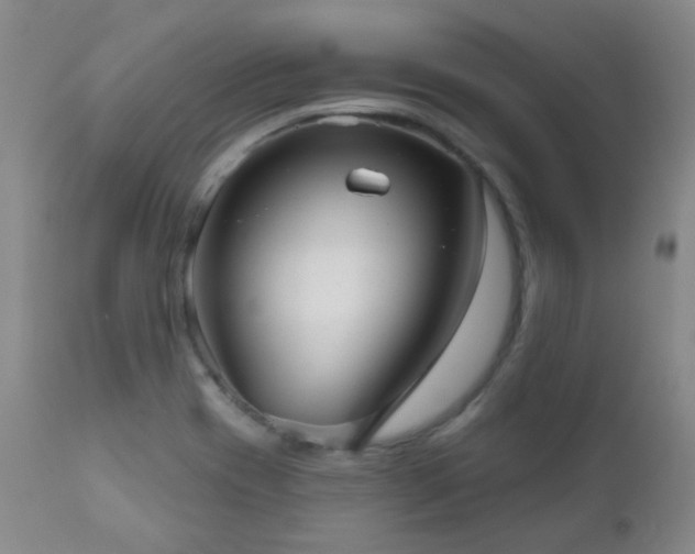 X0000111051417200906251422