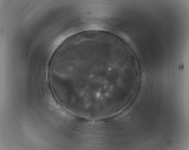 X0000111051419200906251422