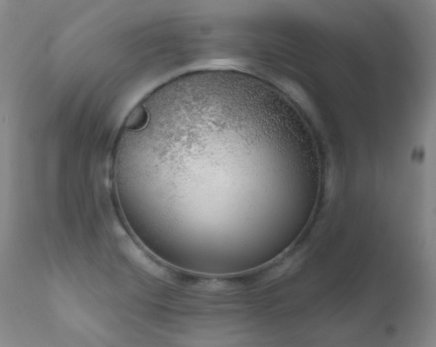 X0000111051420200906251422