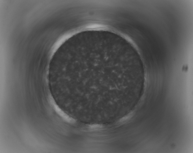 X0000111051421200906251423