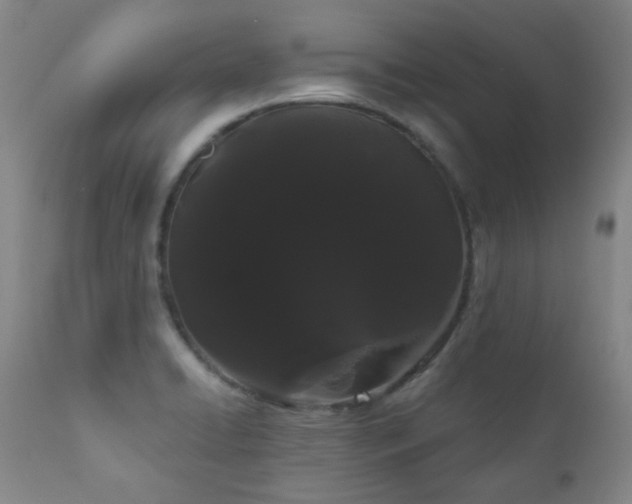 X0000111051422200906251423