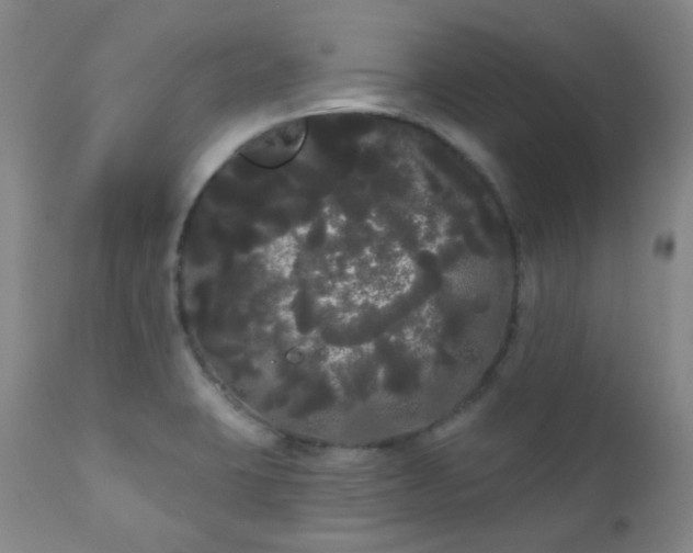 X0000111051423200906251423