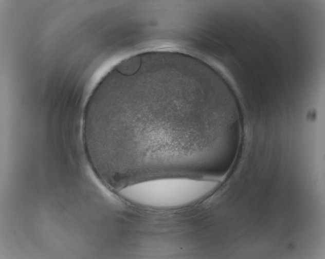X0000111051424200906251423