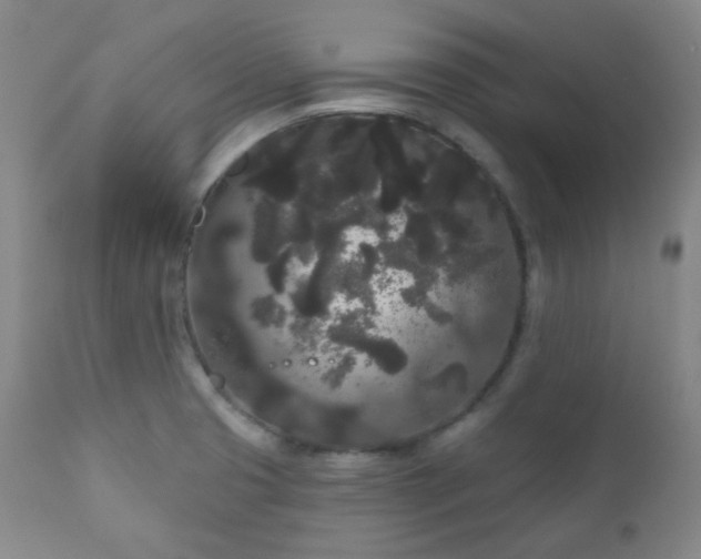 X0000111051425200906251423