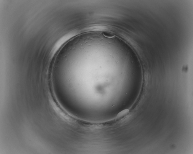 X0000111051426200906251423