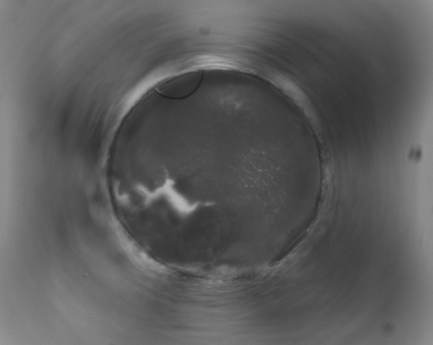 X0000111051427200906251423
