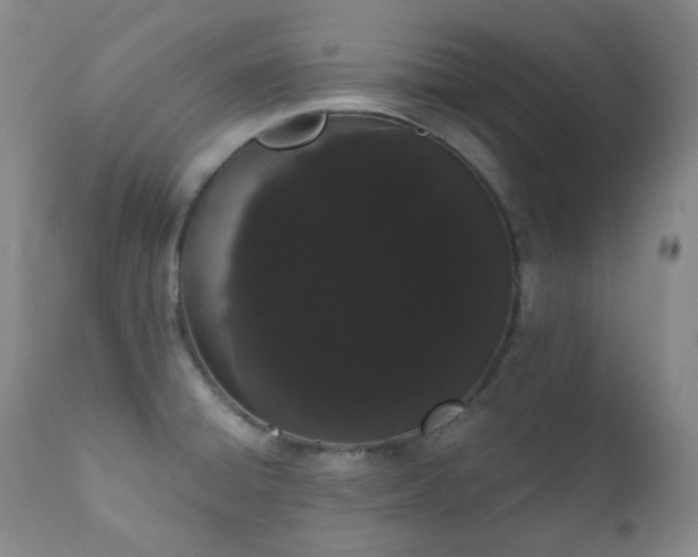 X0000111051428200906251423