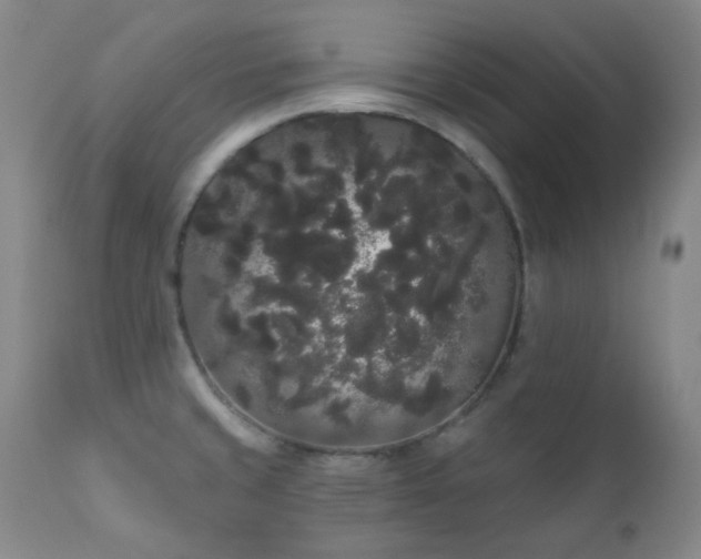 X0000111051429200906251423