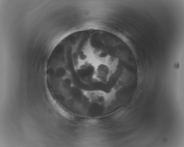 X0000111051431200906251423