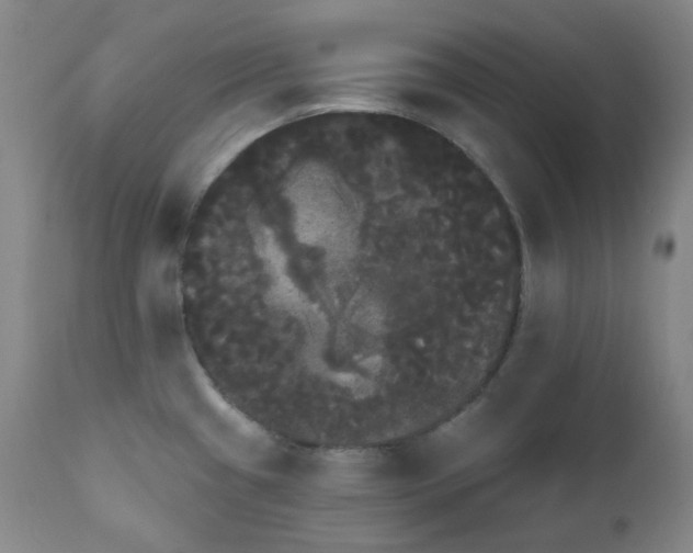 X0000111051433200906251423