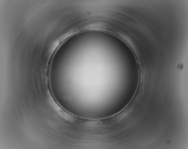 X0000111051434200906251423