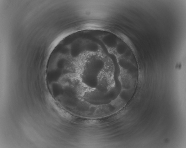 X0000111051435200906251423