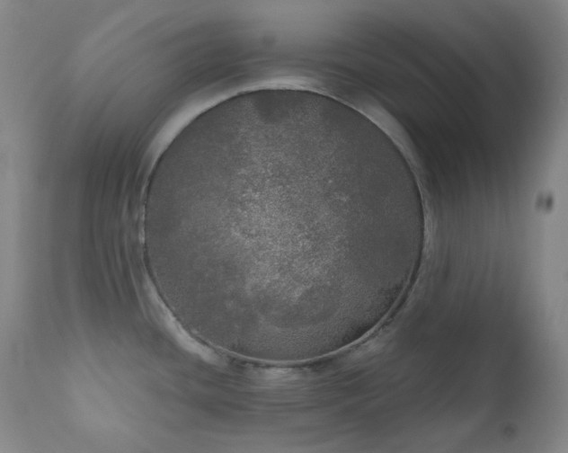 X0000111051436200906251423