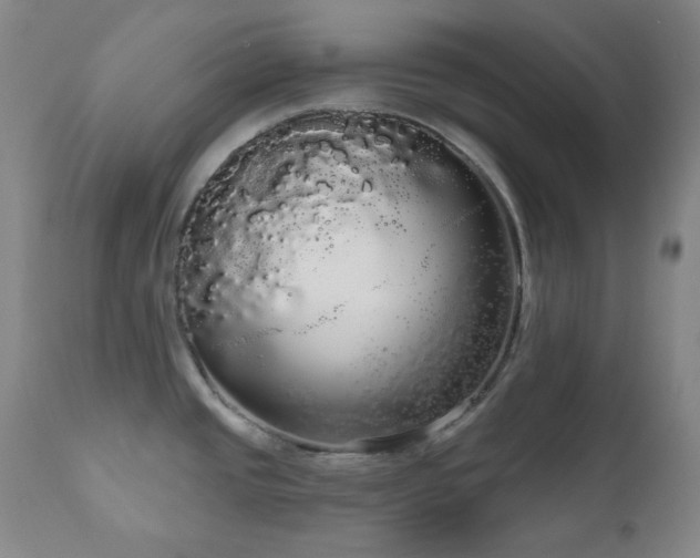 X0000111051437200906251423