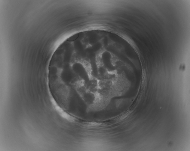 X0000111051439200906251423