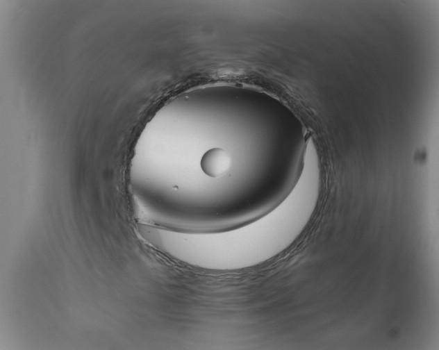 X0000111051441200906251422