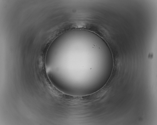 X0000111051442200906251422