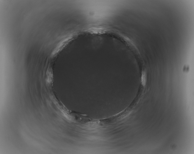 X0000111051444200906251422