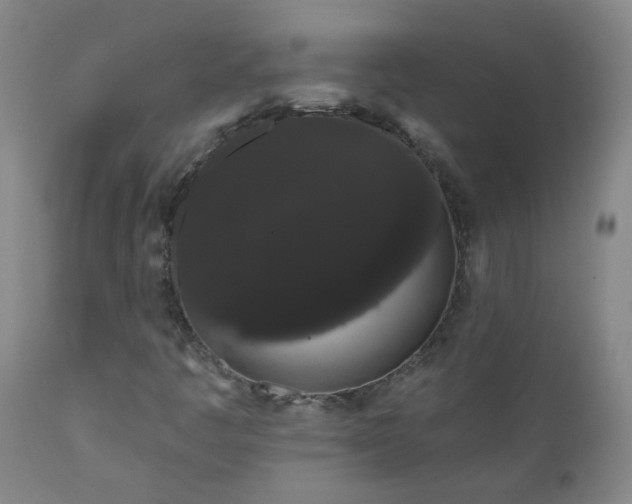 X0000111051445200906251422