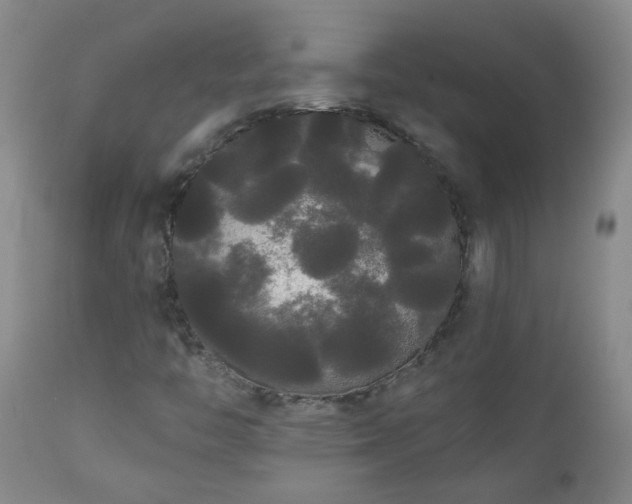 X0000111051446200906251422