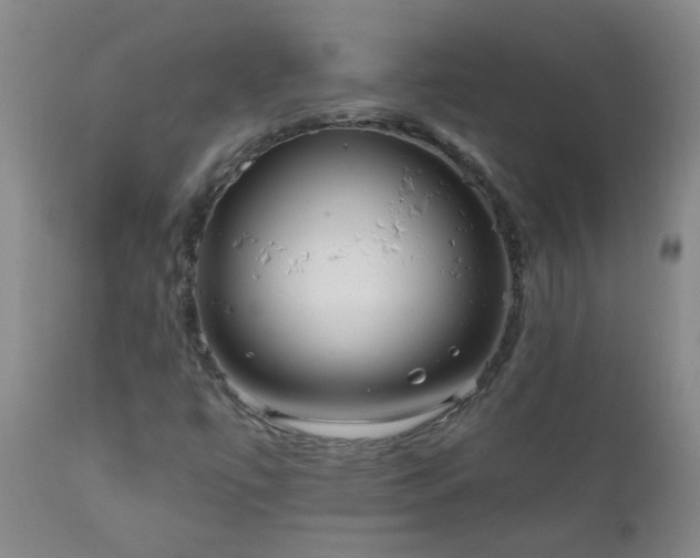 X0000111051447200906251422