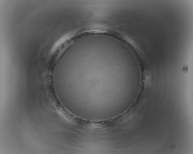 X0000111051448200906251422