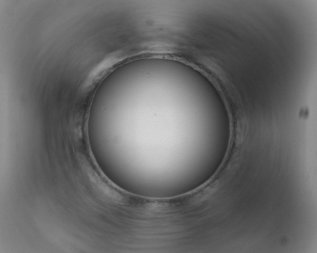 X0000111051451200906251422