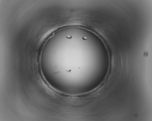 X0000111051452200906251422