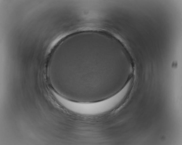 X0000111051453200906251422