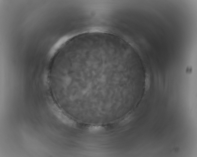 X0000111051454200906251422